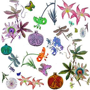 Entomology Wallpaper , Per Yard - nicolettemayer.com