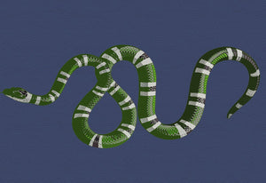 Serpent Blue 17 Rectangle Pebble, Set of 4 - nicolettemayer.com