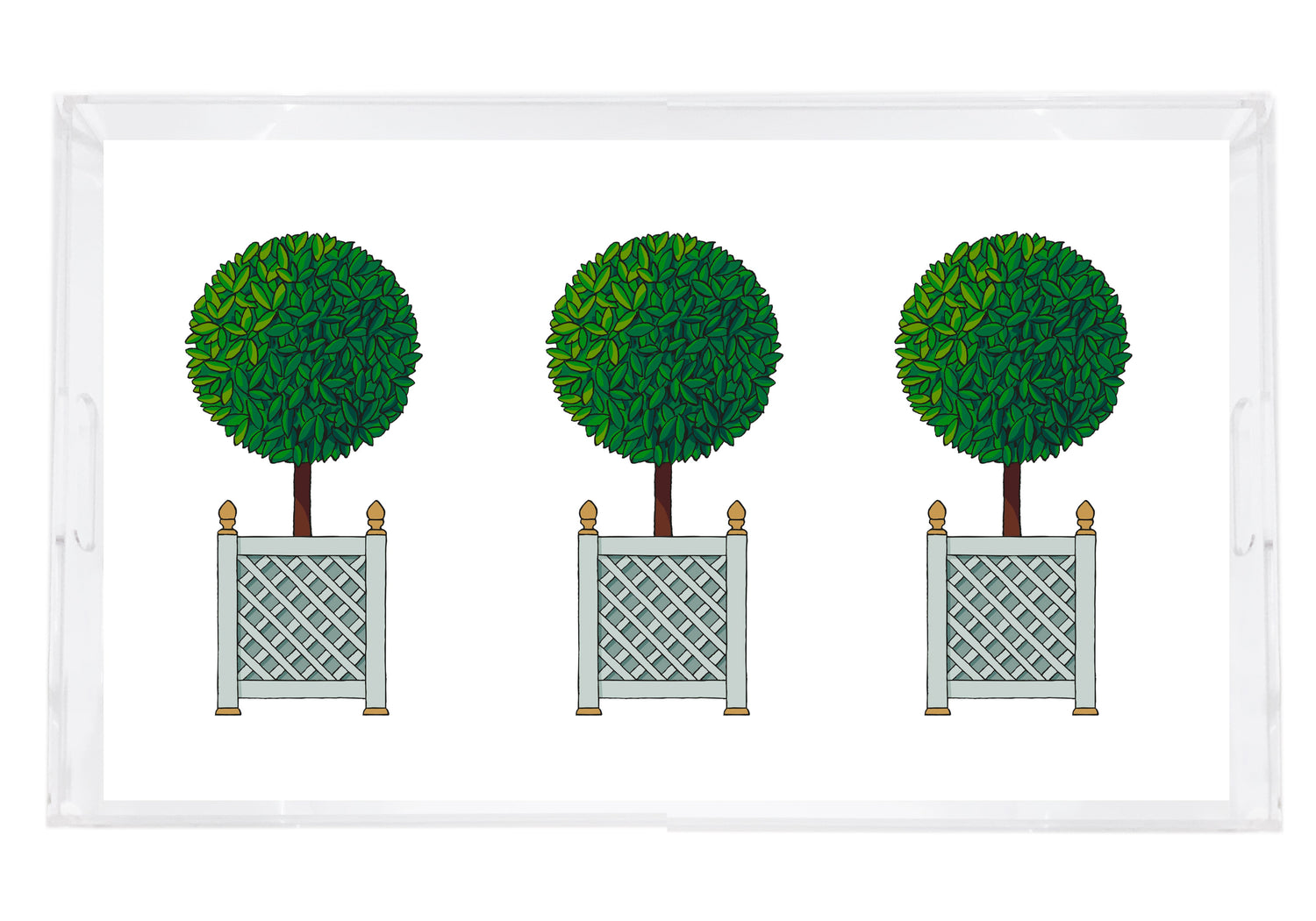 Timothy Corrigan Topiary 12.25"x7.75" Vanity Acrylic Tray - nicolettemayer.com