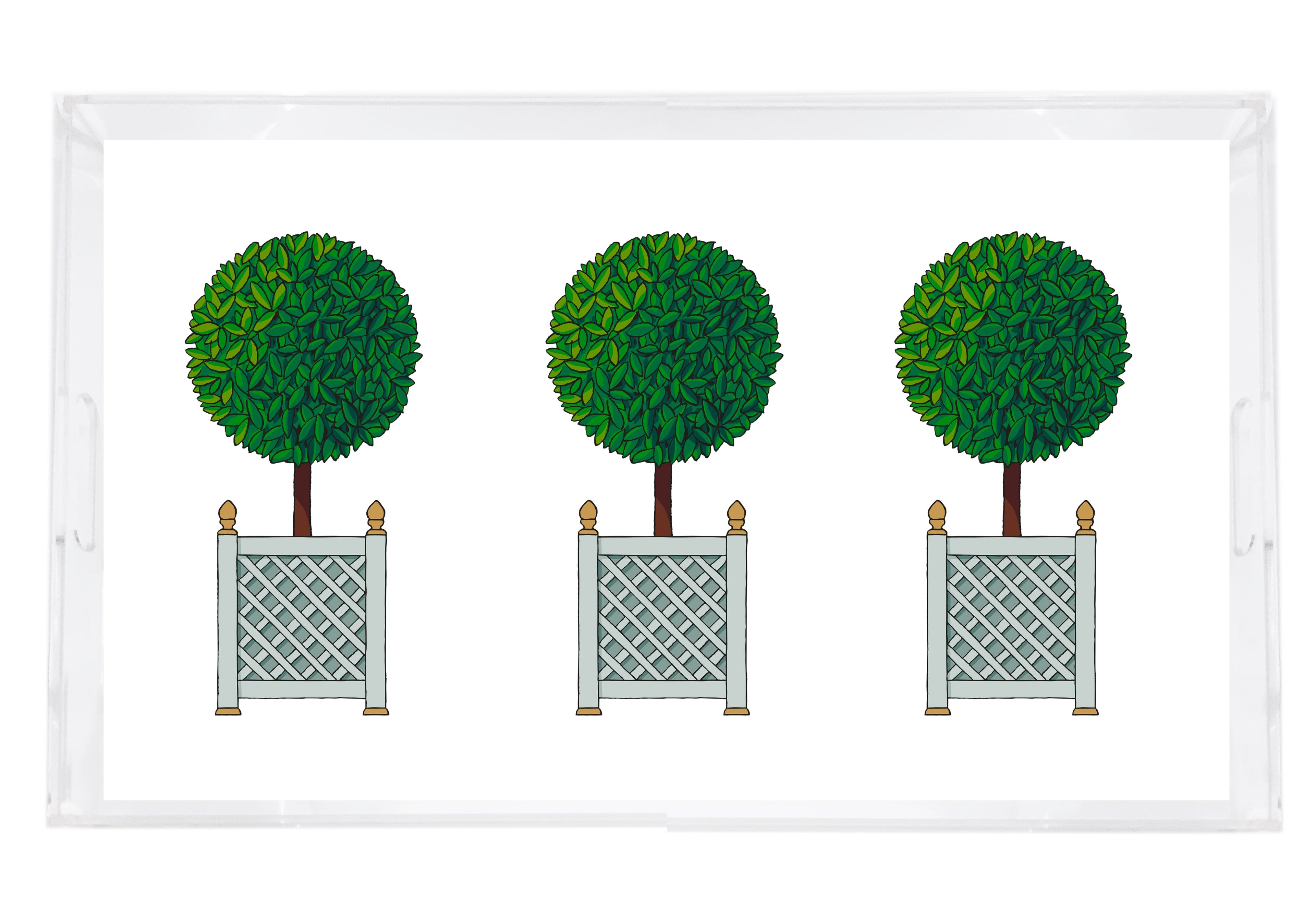 Timothy Corrigan Topiary 12.25"x7.75" Vanity Acrylic Tray - nicolettemayer.com