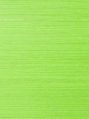 Metallica Grasscloth Asparagus - nicolettemayer.com