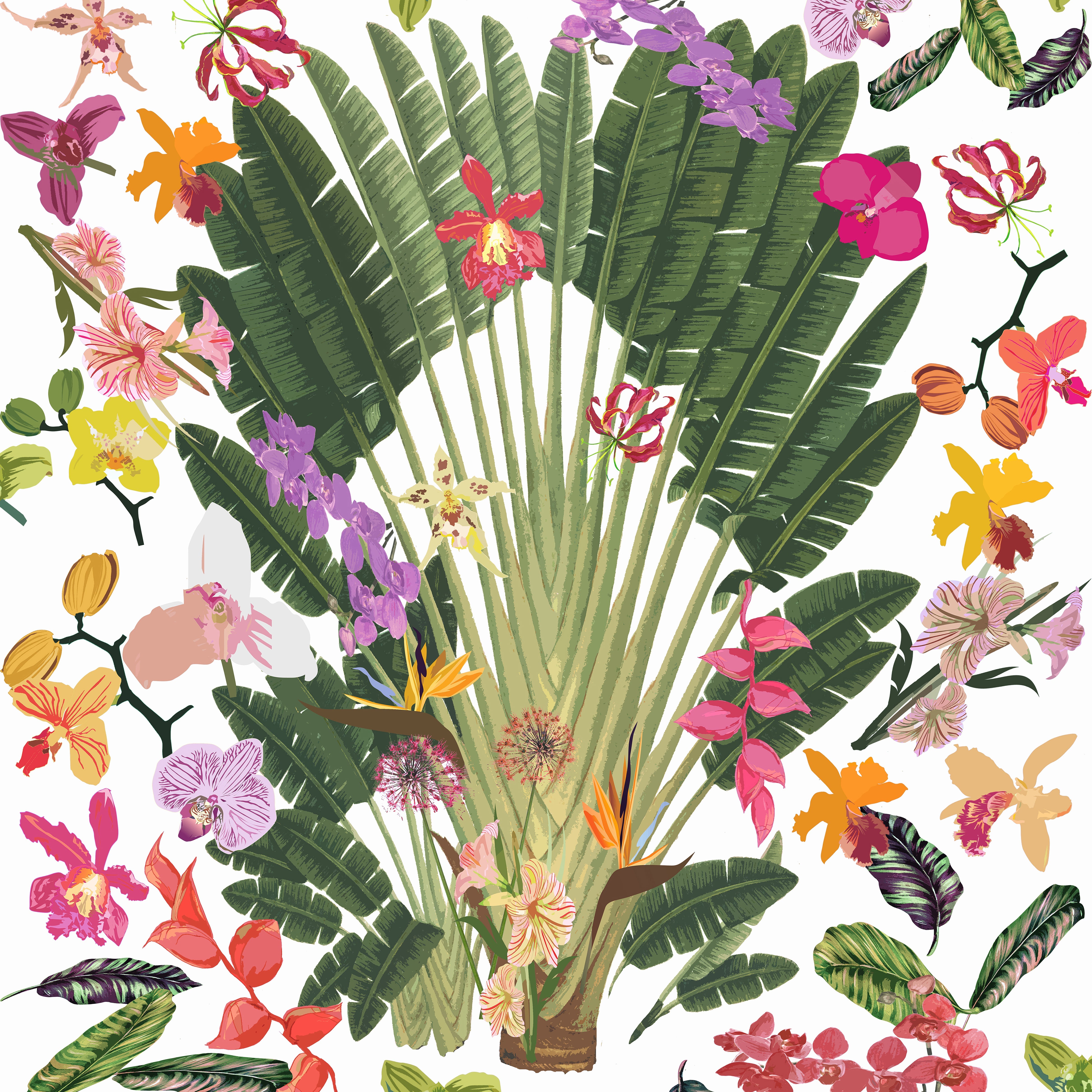 Tropical – nicolettemayer.com