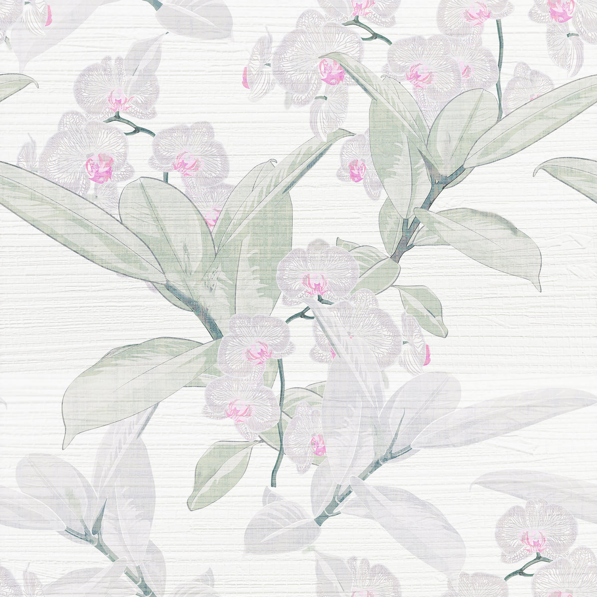 Allande Phaelae swatch