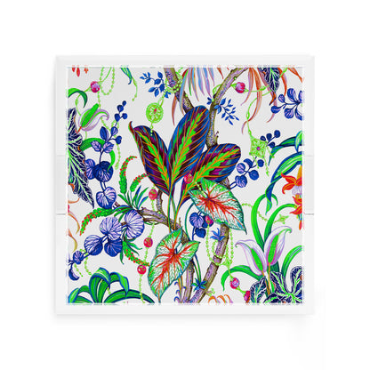 Amazonia Classic 12X12 Acrylic Tray - nicolettemayer.com
