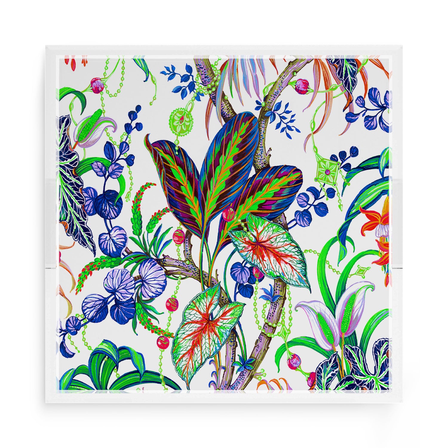 Amazonia Classic 15X15 Acrylic Tray - nicolettemayer.com
