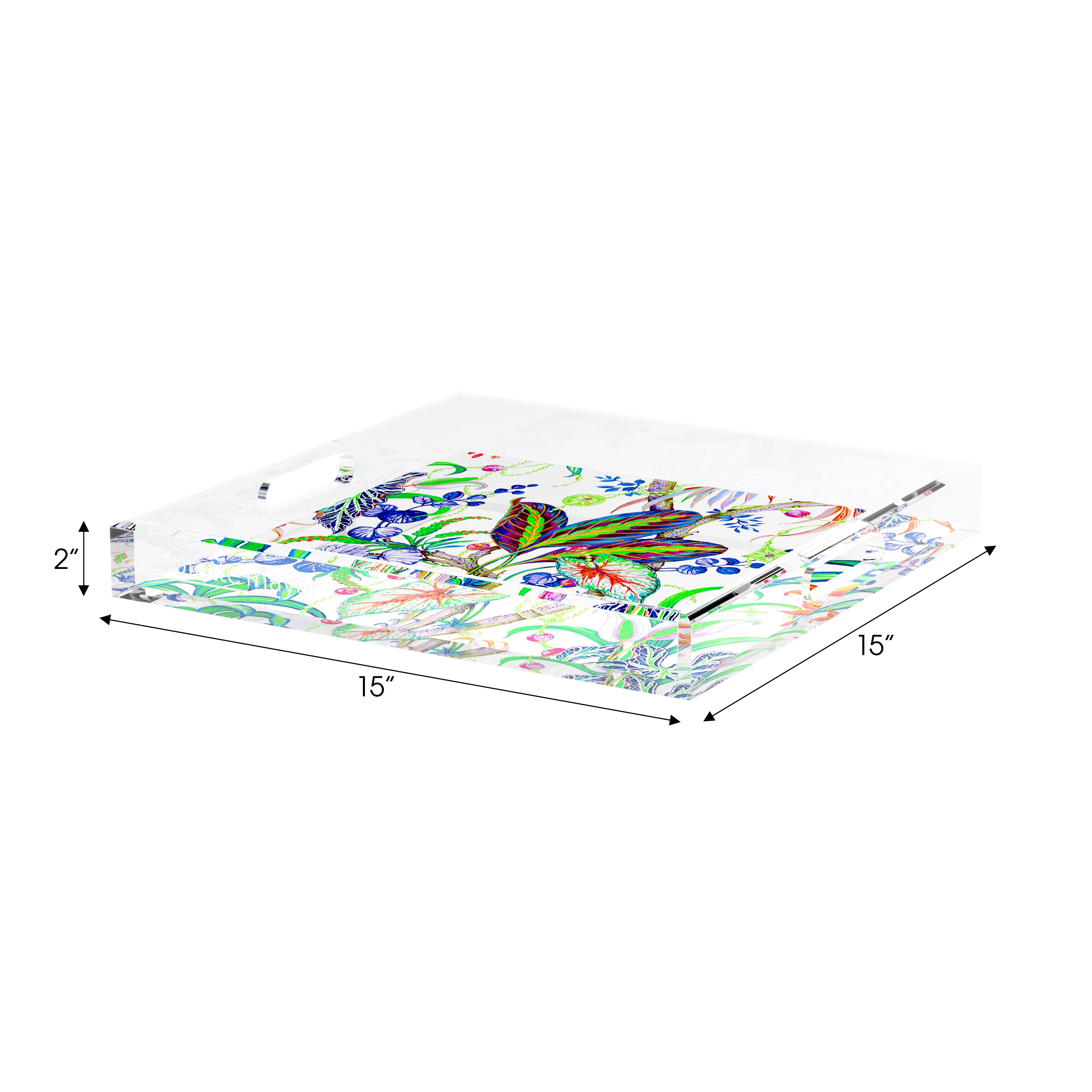 Amazonia Classic 15X15 Acrylic Tray - nicolettemayer.com
