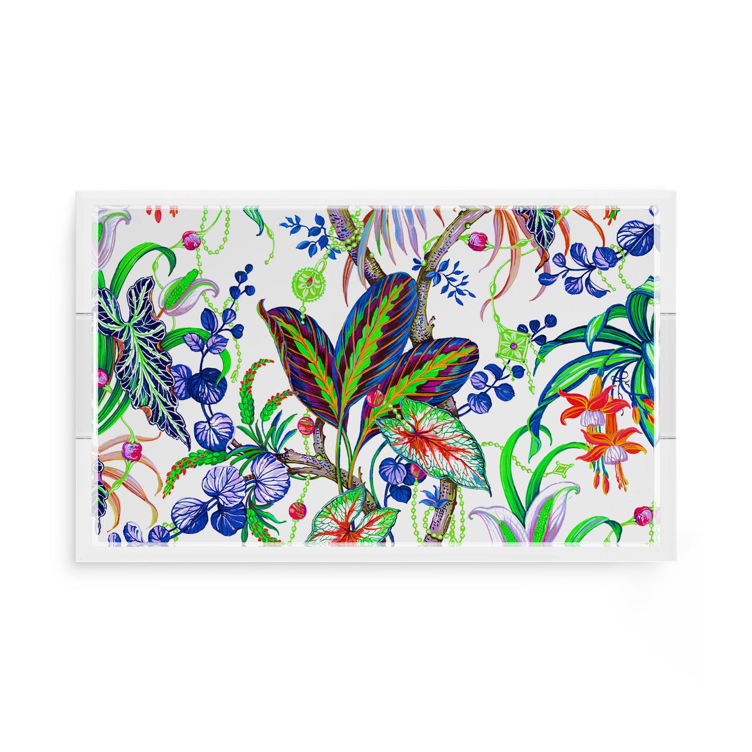 Amazonia Classic 17X10.5 Acrylic Tray - nicolettemayer.com
