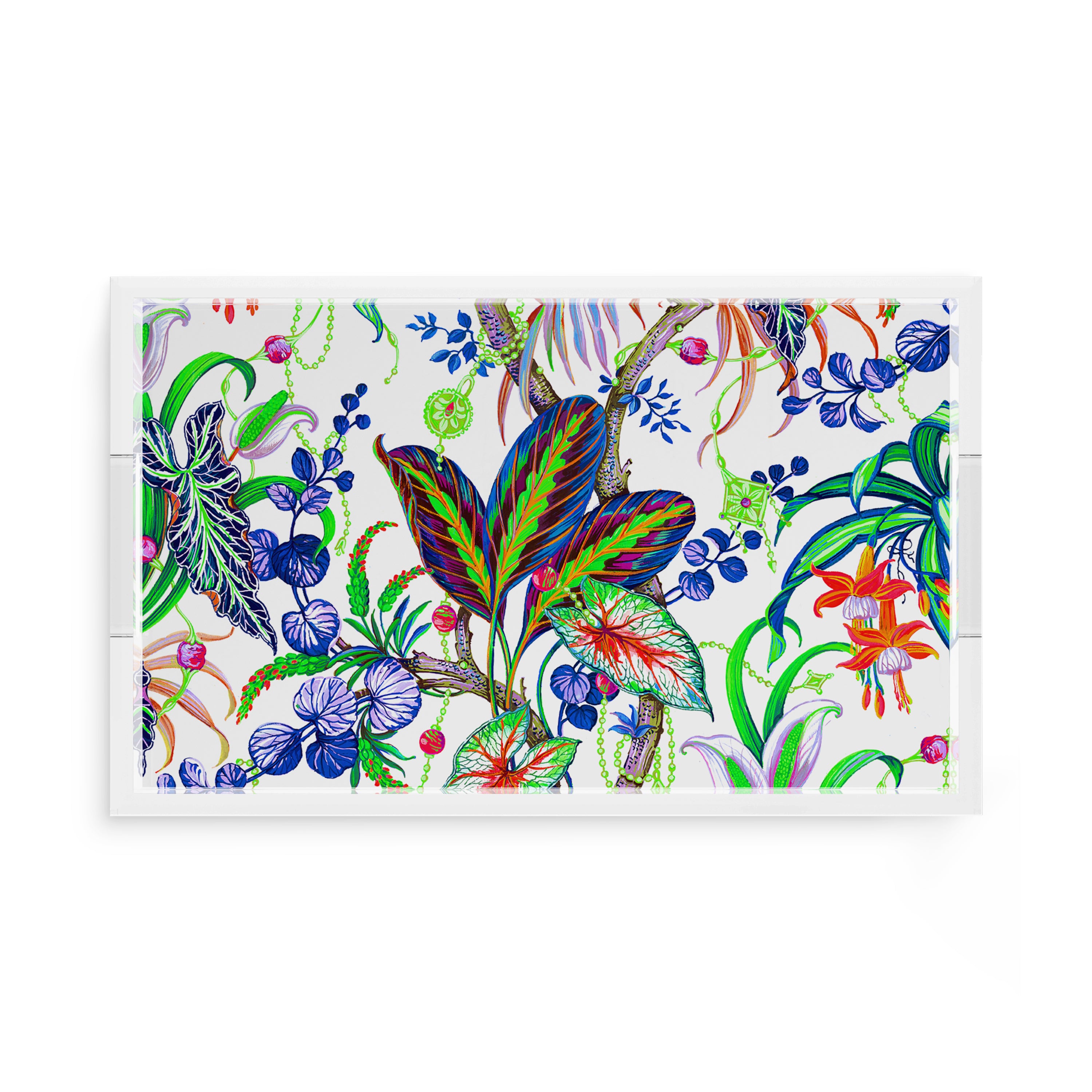 Amazonia Classic 17X10.5 Acrylic Tray - nicolettemayer.com
