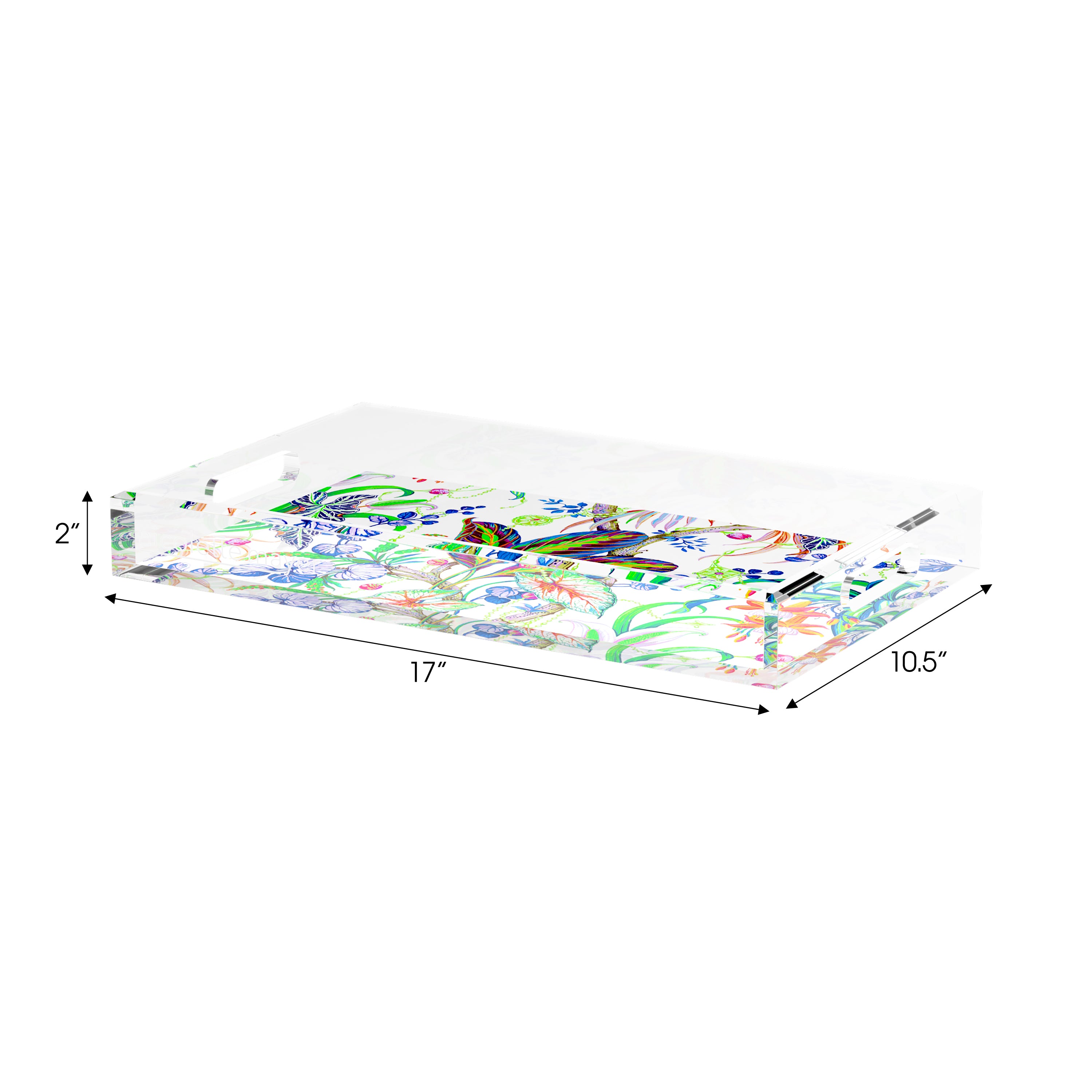 Amazonia Classic 17X10.5 Acrylic Tray - nicolettemayer.com
