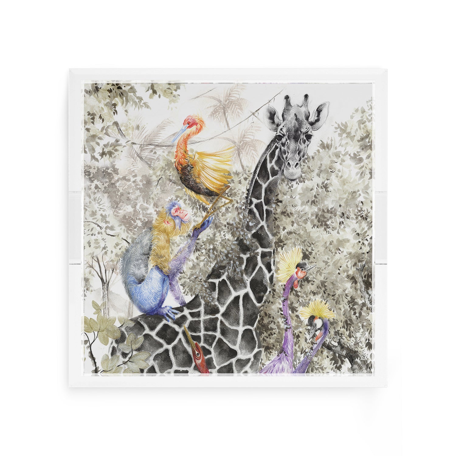 Arcadia Giraffe 12X12 Acrylic Tray - nicolettemayer.com
