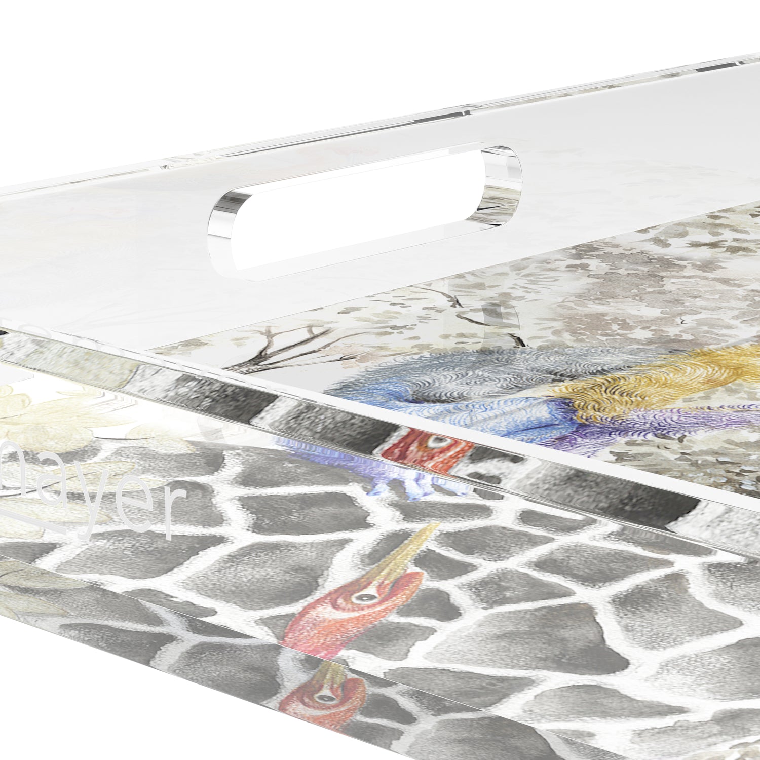 Arcadia Giraffe 18X18 Acrylic Tray - nicolettemayer.com
