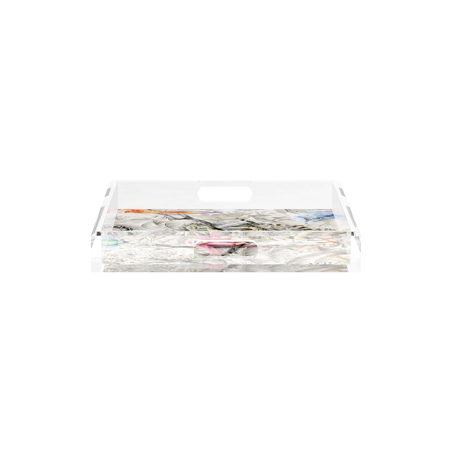 Arcadia Monkeys 12X12 Acrylic Tray - nicolettemayer.com
