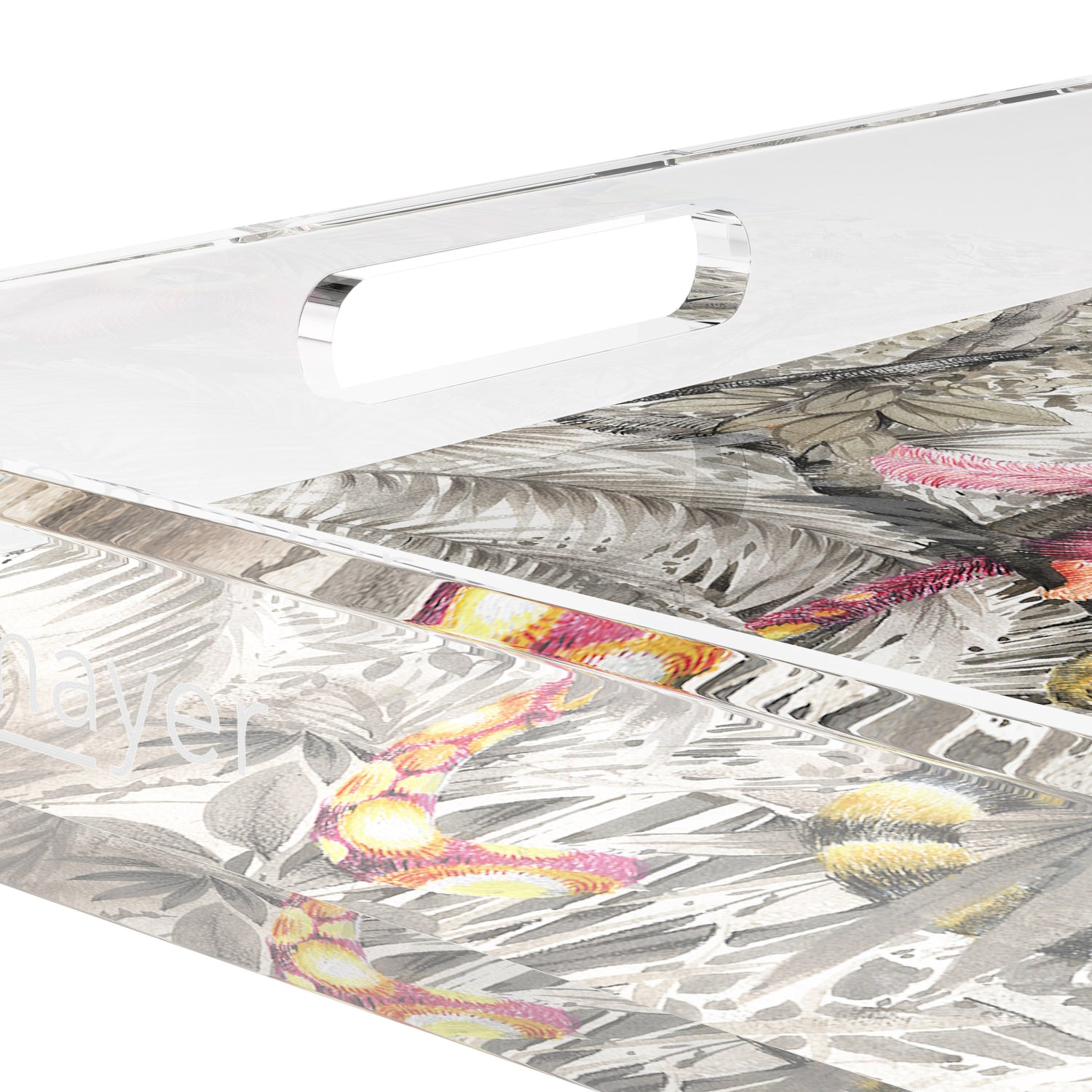 Arcadia Monkeys 12X12 Acrylic Tray - nicolettemayer.com
