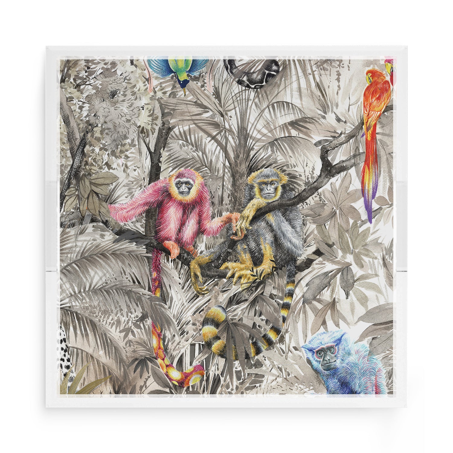 Arcadia Monkeys 15X15 Acrylic Tray - nicolettemayer.com
