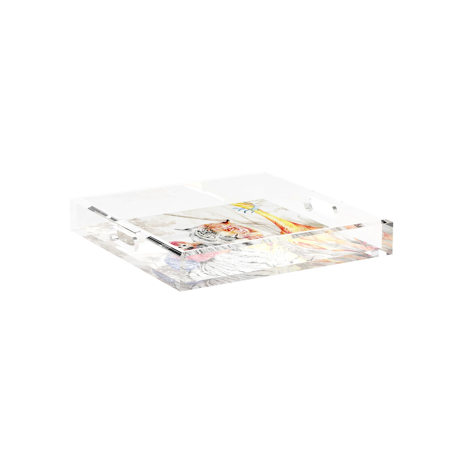 Arcadia Tiger 12X12 Acrylic Tray - nicolettemayer.com
