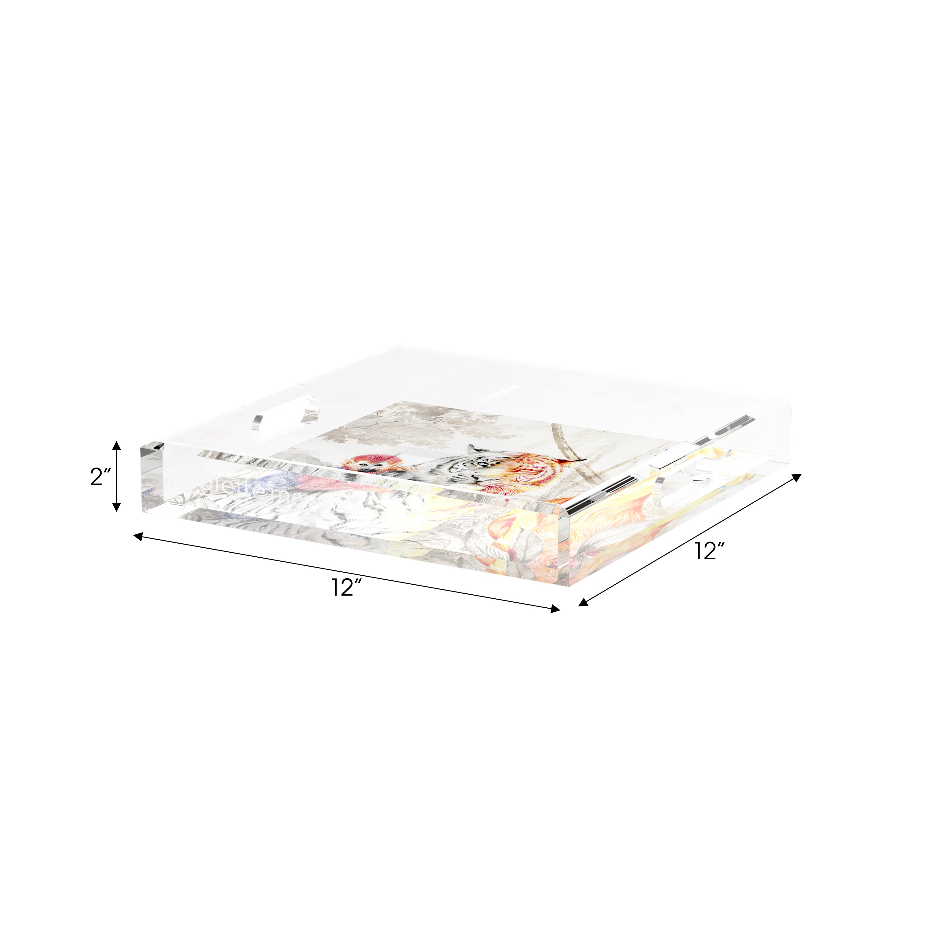 Arcadia Tiger 12X12 Acrylic Tray - nicolettemayer.com
