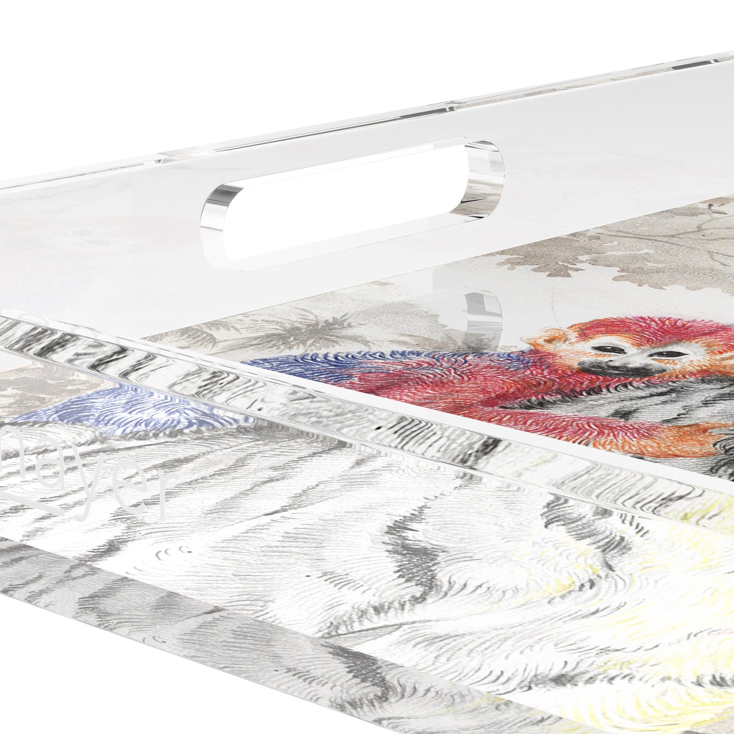 Arcadia Tiger 15X15 Acrylic Tray - nicolettemayer.com
