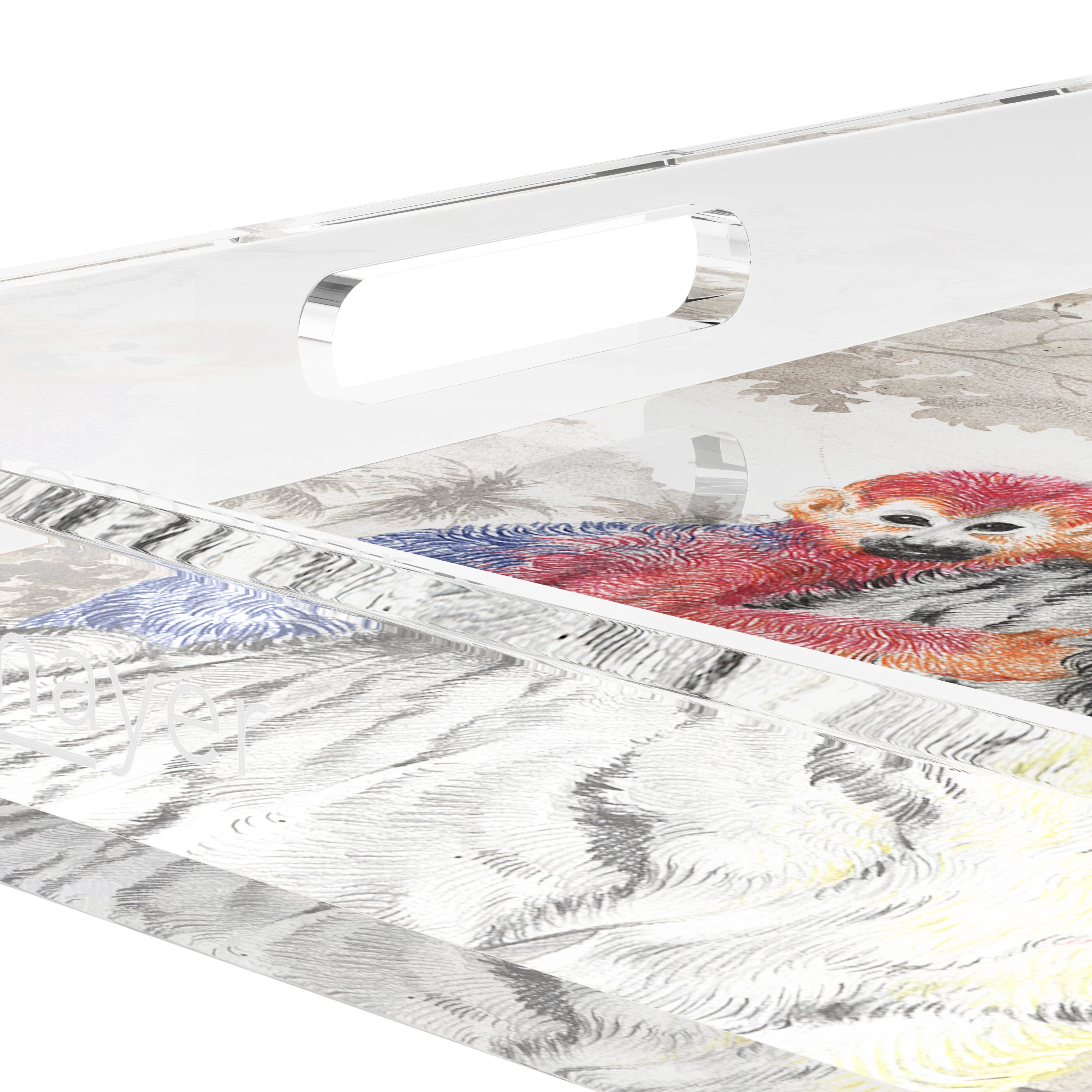 Arcadia Tiger 18X18 Acrylic Tray - nicolettemayer.com
