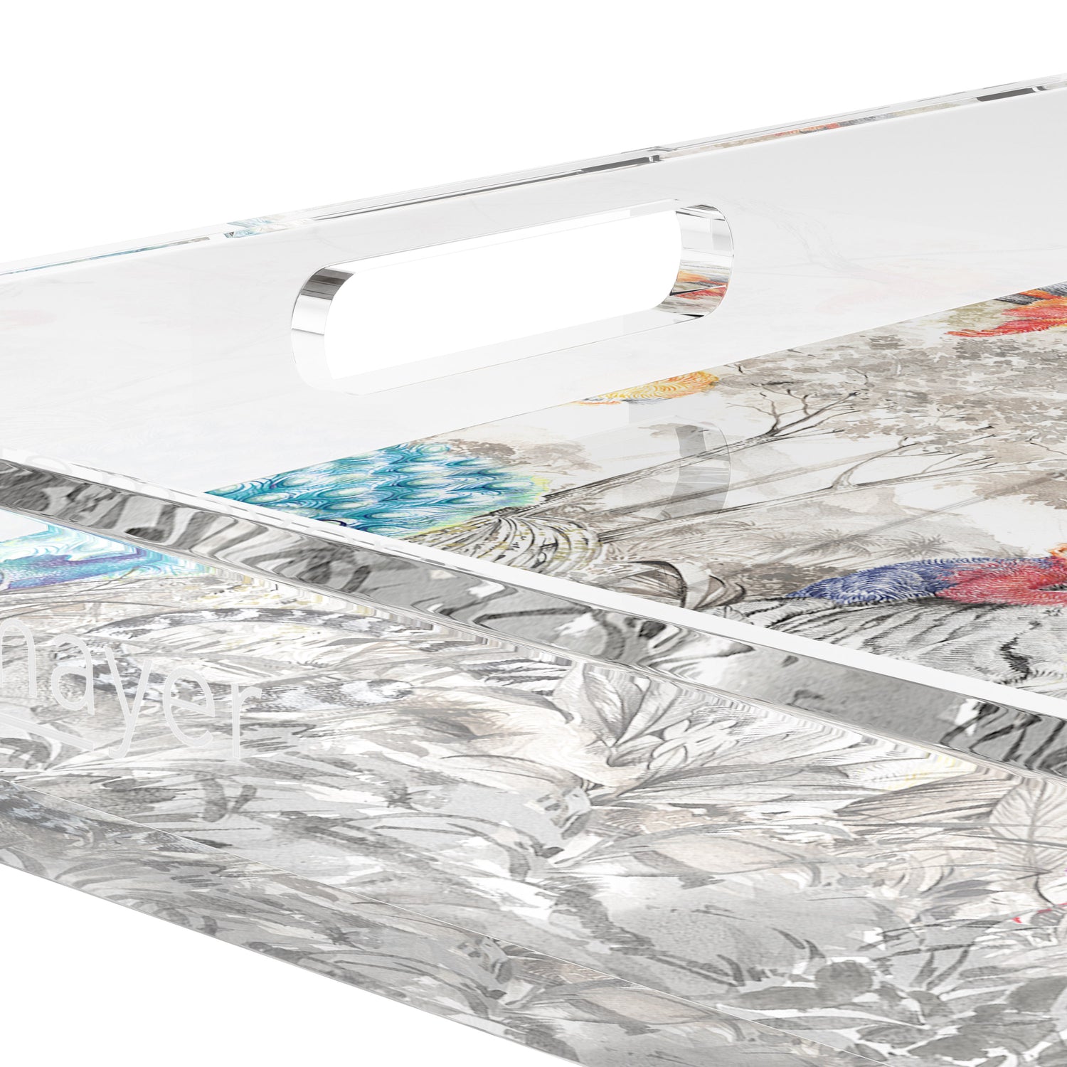 Arcadia Tiger And Zebra Scene 15X15 Acrylic Tray - nicolettemayer.com
