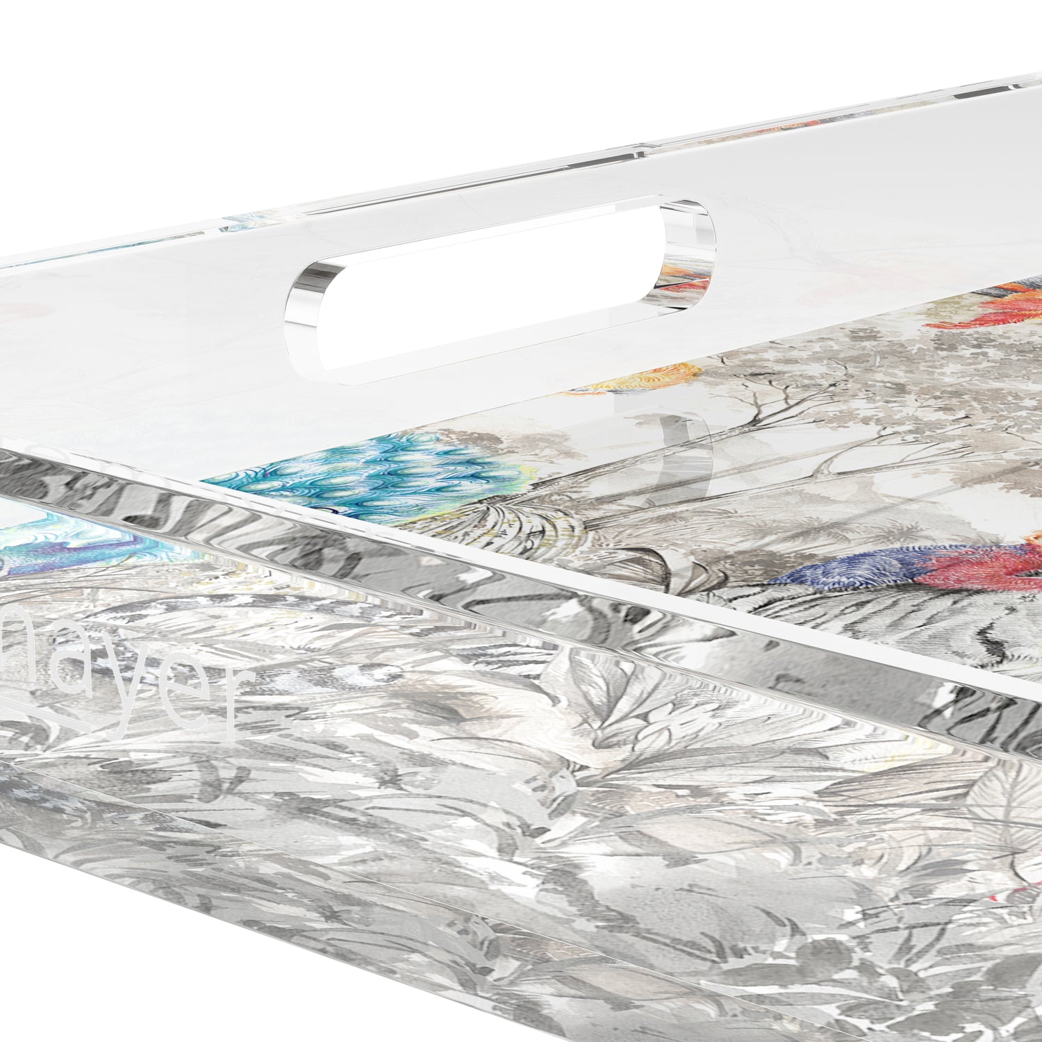 Arcadia Tiger And Zebra Scene 18X18 Acrylic Tray - nicolettemayer.com
