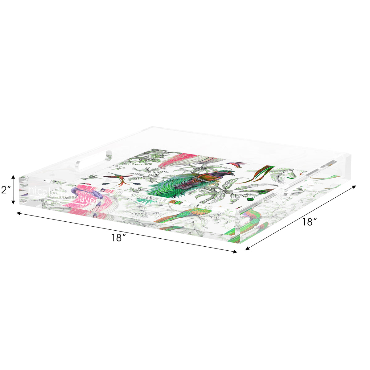 Audubon Exotica Dove Green Persimmon Acrylic Decorative Tray, 18 x 18 in. by Nicolette Mayer 