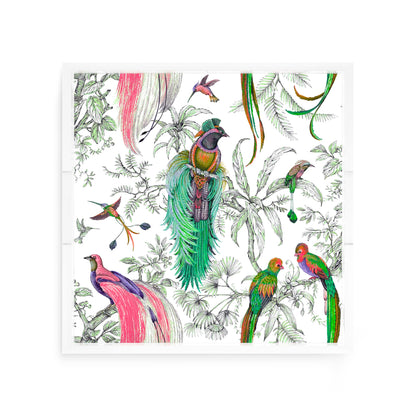 Audubon Exotica Dove Green Persimmon Acrylic Decorative Tray, 12 x 12 in. by Nicolette Mayer 