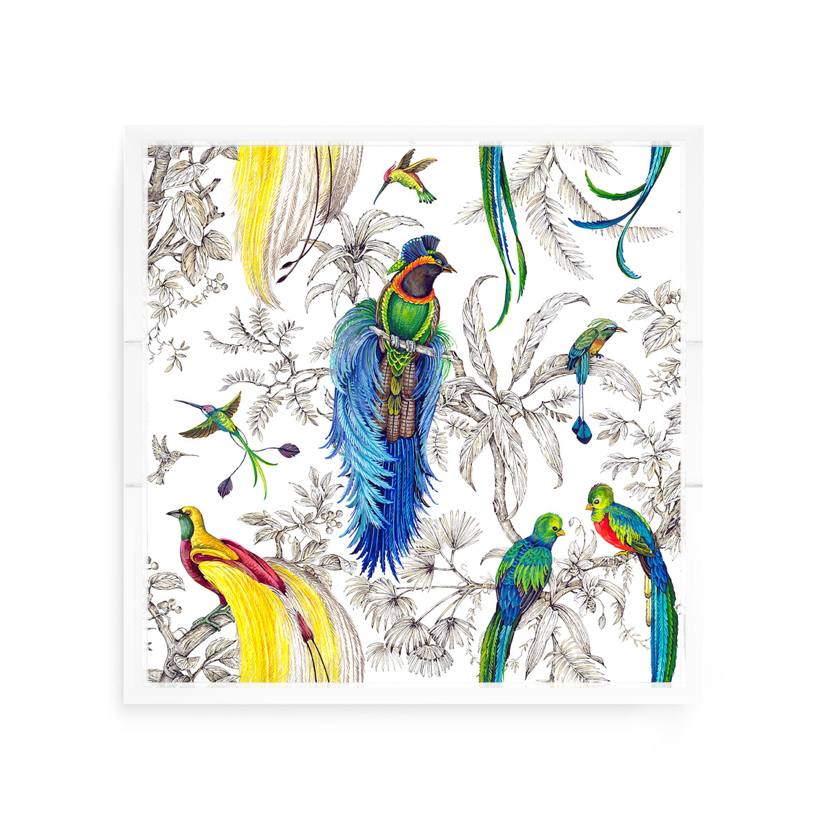 Audubon Exotica Tropical Acrylic Decorative Tray, 12 x 12 in. by Nicolette Mayer 