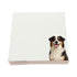 Australian Shepherd dog note cards by Nicolette Mayer, set of 100