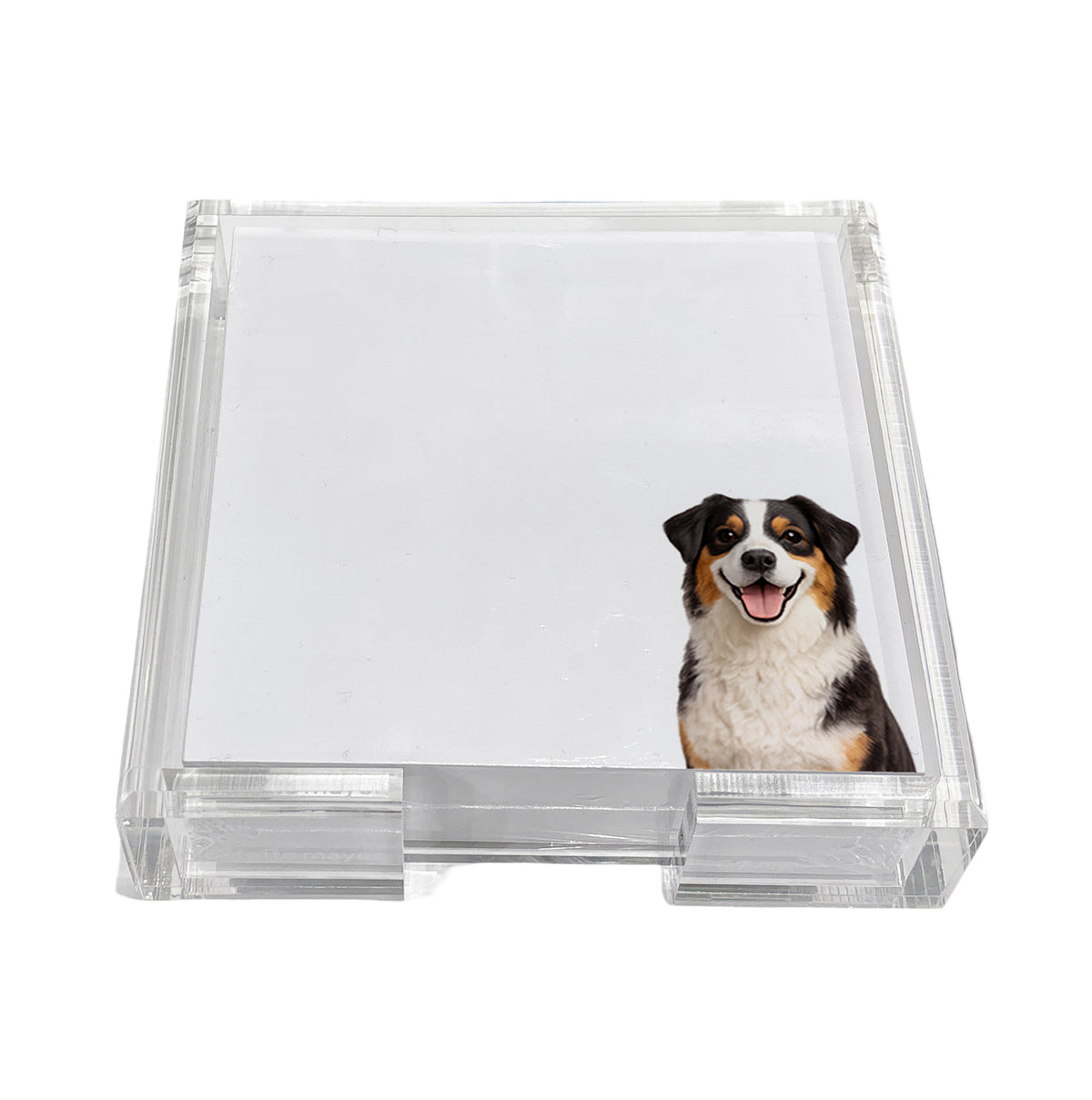 Australian Shepherd dog note cards in a clear acrylic holder by Nicolette Mayer