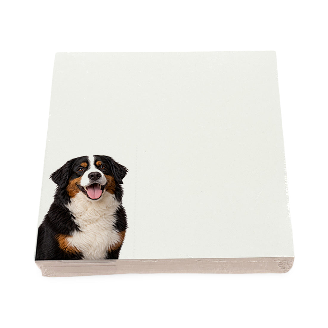 Bernese Mountain Dog note cards by Nicolette Mayer, set of 100