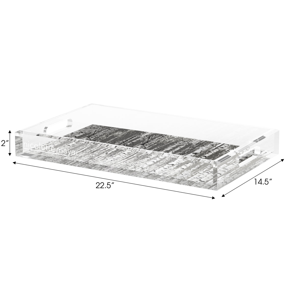 Birch Neutral Acrylic Decorative Tray, 22.5 x 14. in. by Nicolette Mayer 