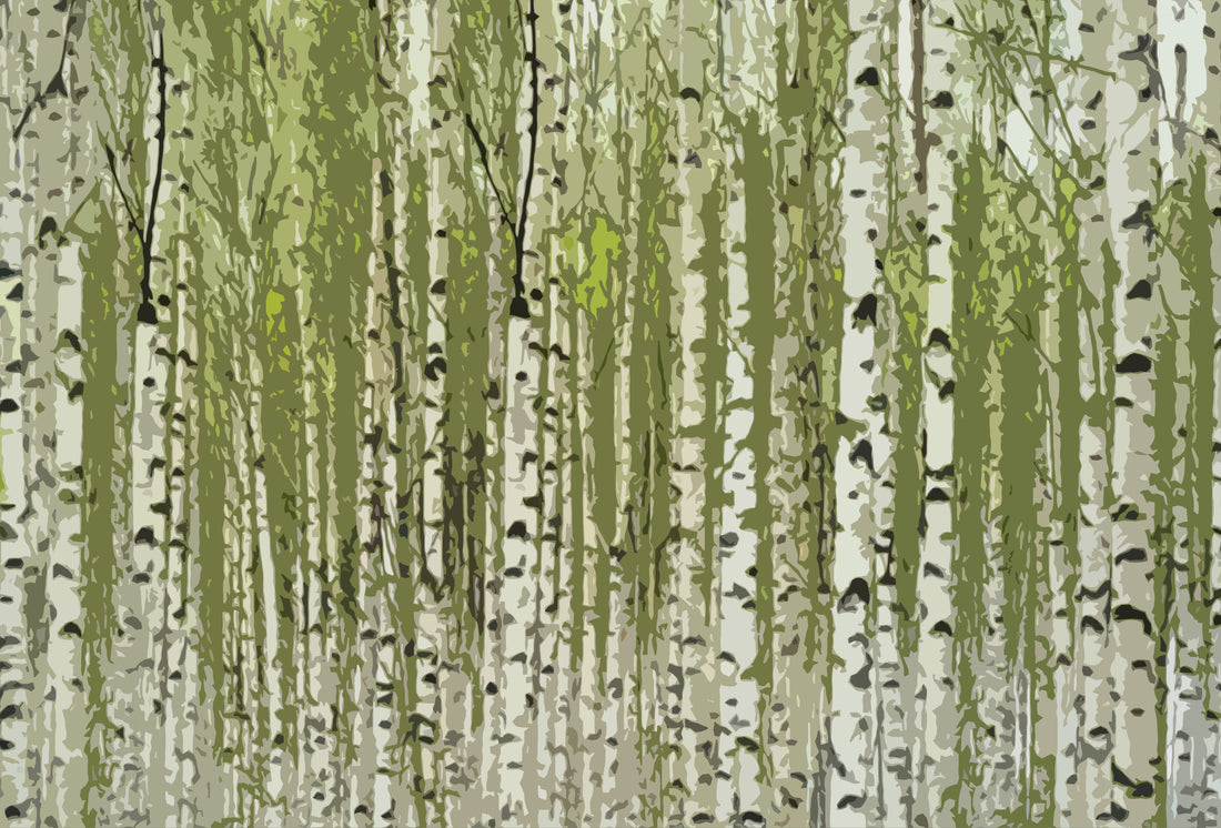 Birch Green Paper Placemat Pad, One Set Of 24