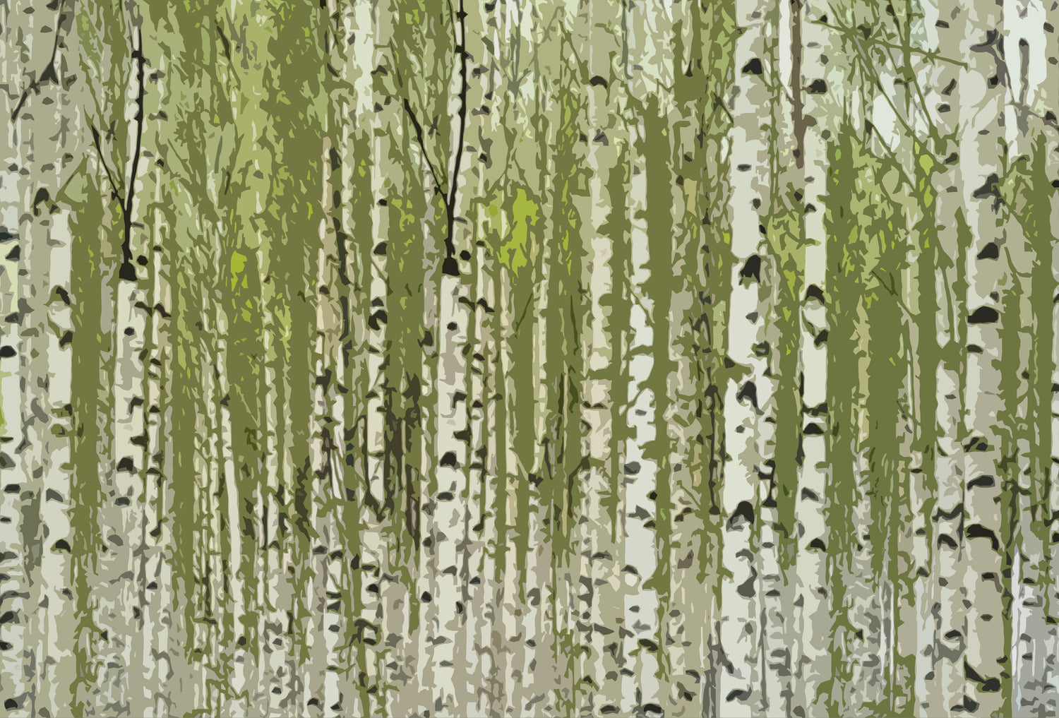 Birch Green Paper Placemat Pad, One Set Of 24