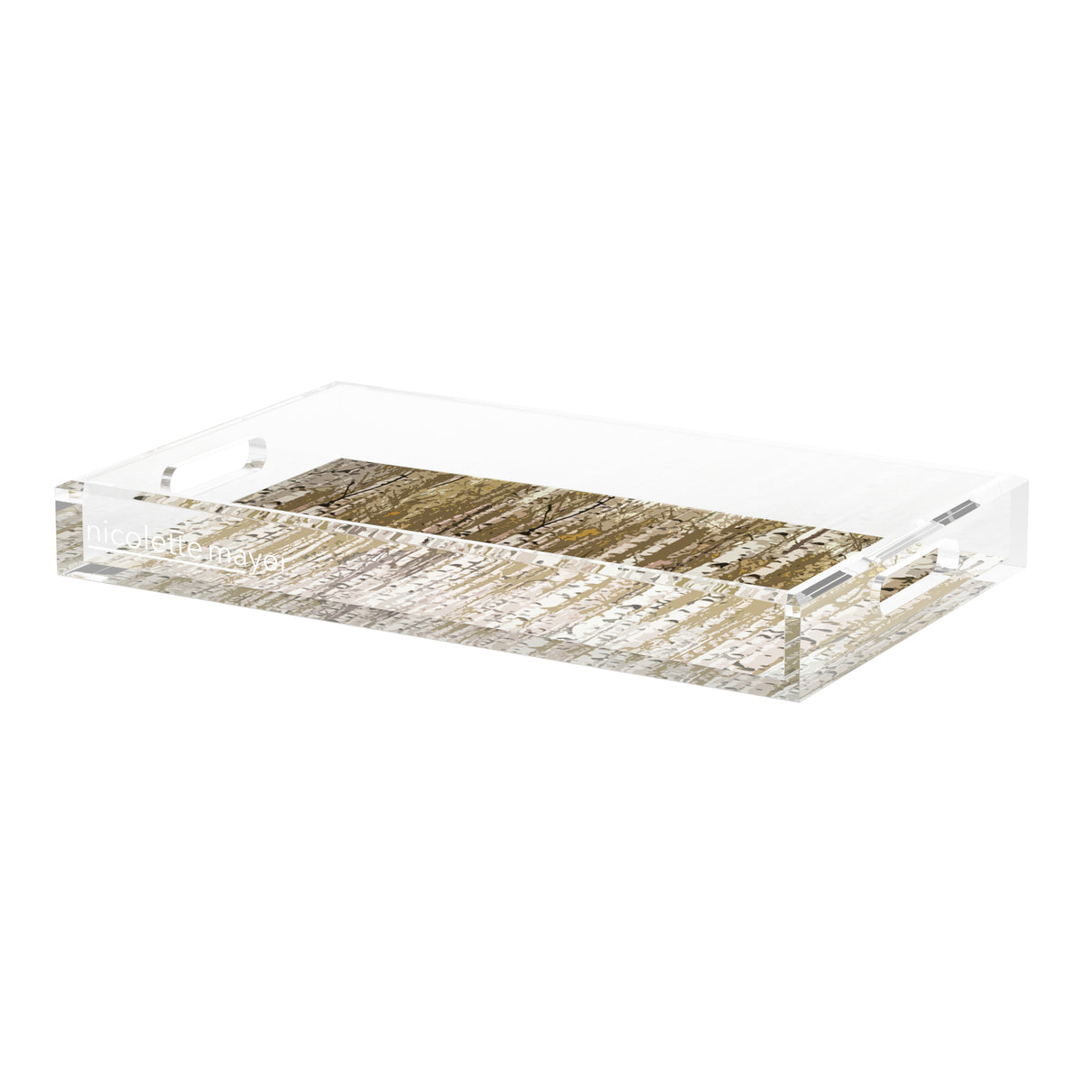 Birch Brown Acrylic Decorative Tray, 22.5 x 14.5 in. by Nicolette Mayer 