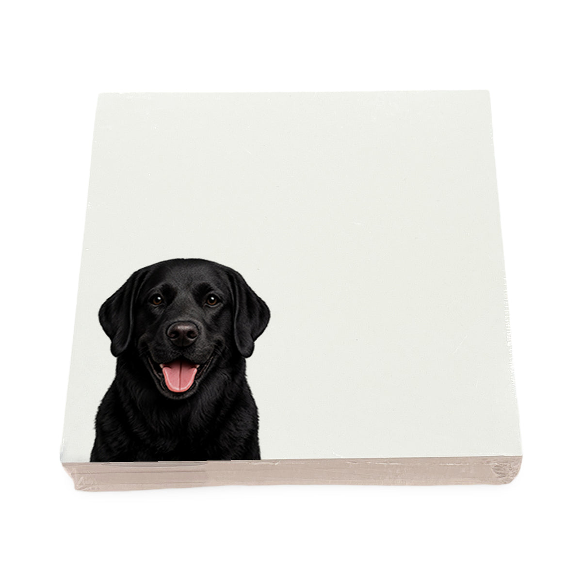 Black Lab dog note cards by Nicolette Mayer, set of 100