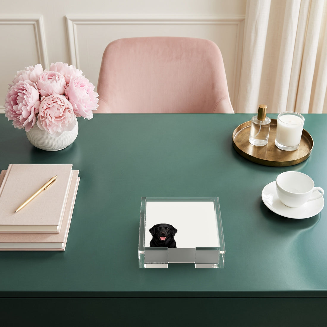 Black Lab dog note cards in a clear acrylic holder on a green desk, by Nicolette Mayer