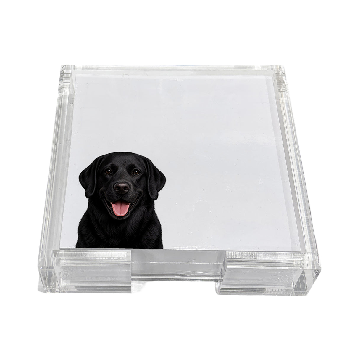 Black Lab dog note cards in a clear acrylic holder by Nicolette Mayer