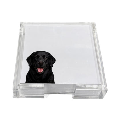 Black Lab dog note cards in a clear acrylic holder by Nicolette Mayer