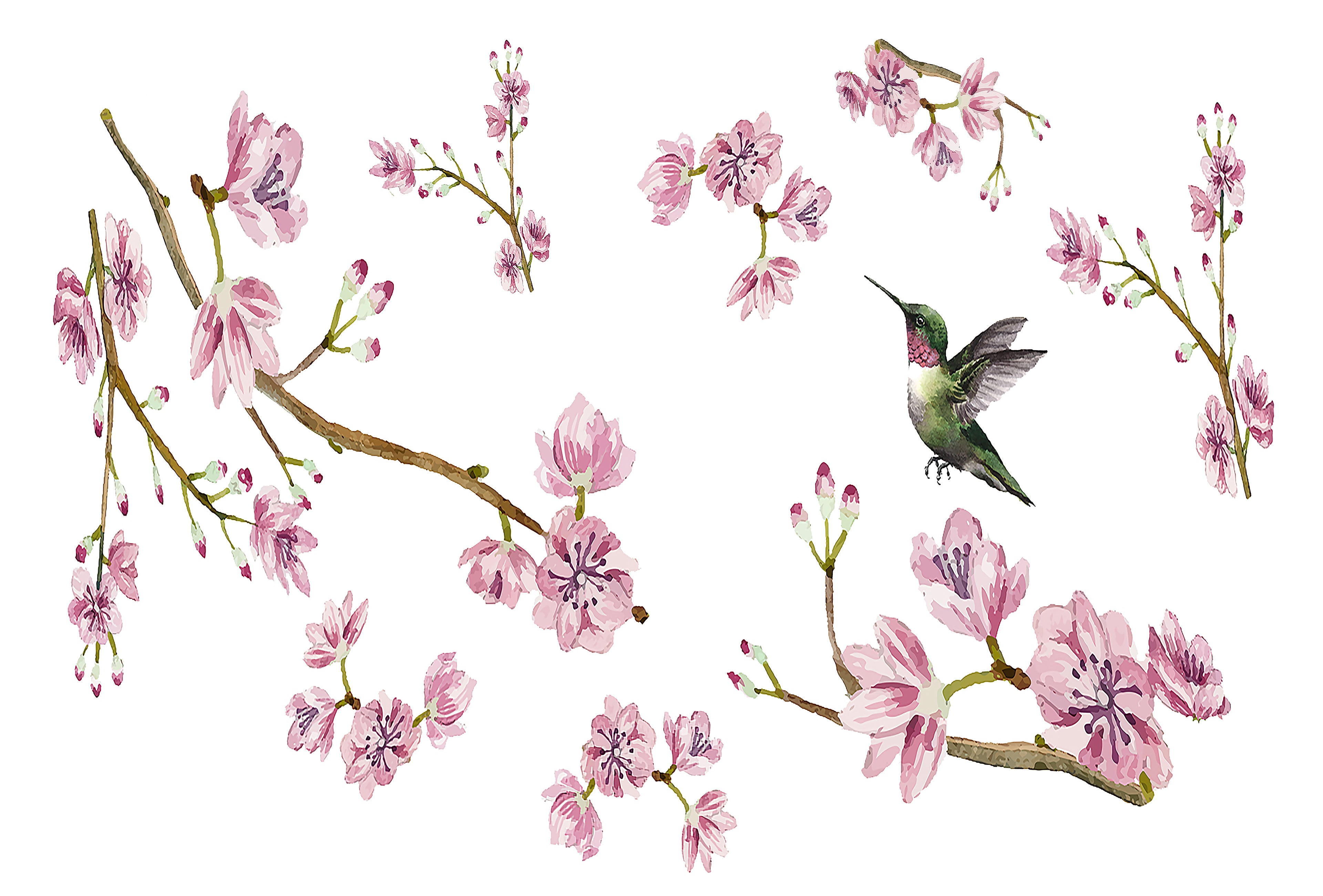Blossom Fantasia Paper Placemat Pad, One Set Of 24