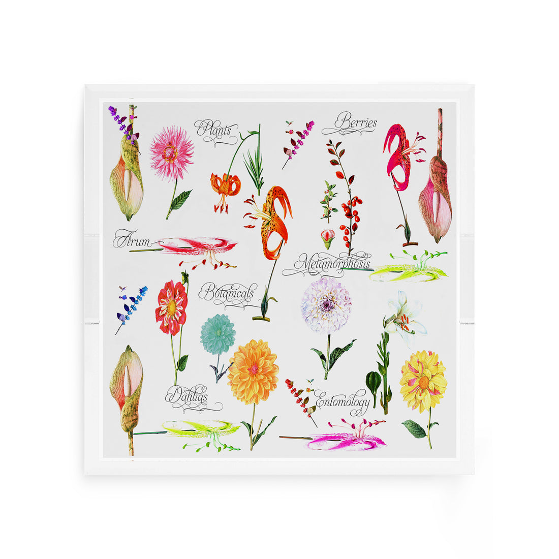 Botanicals White 12X12 Acrylic Tray - nicolettemayer.com
