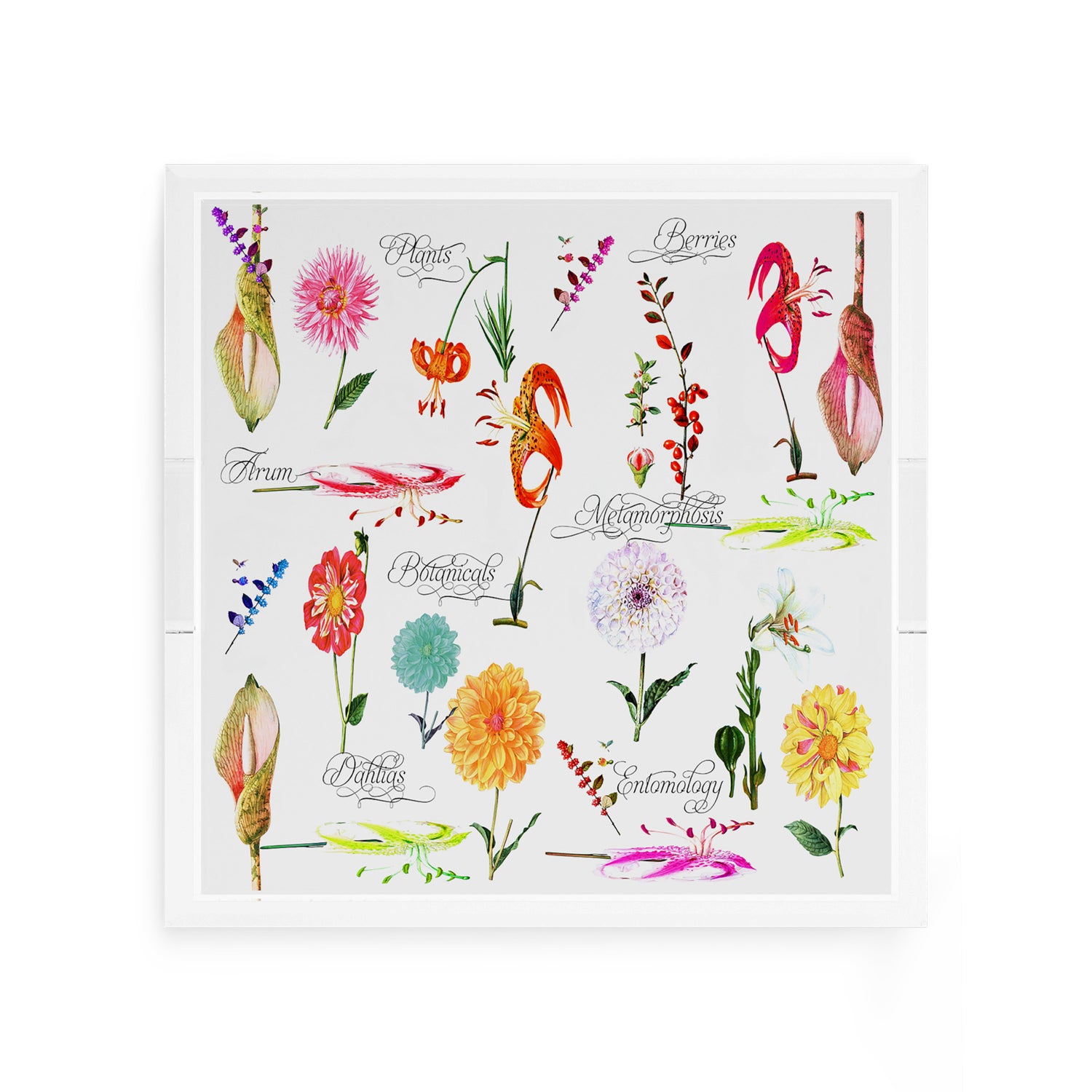 Botanicals White 12X12 Acrylic Tray - nicolettemayer.com
