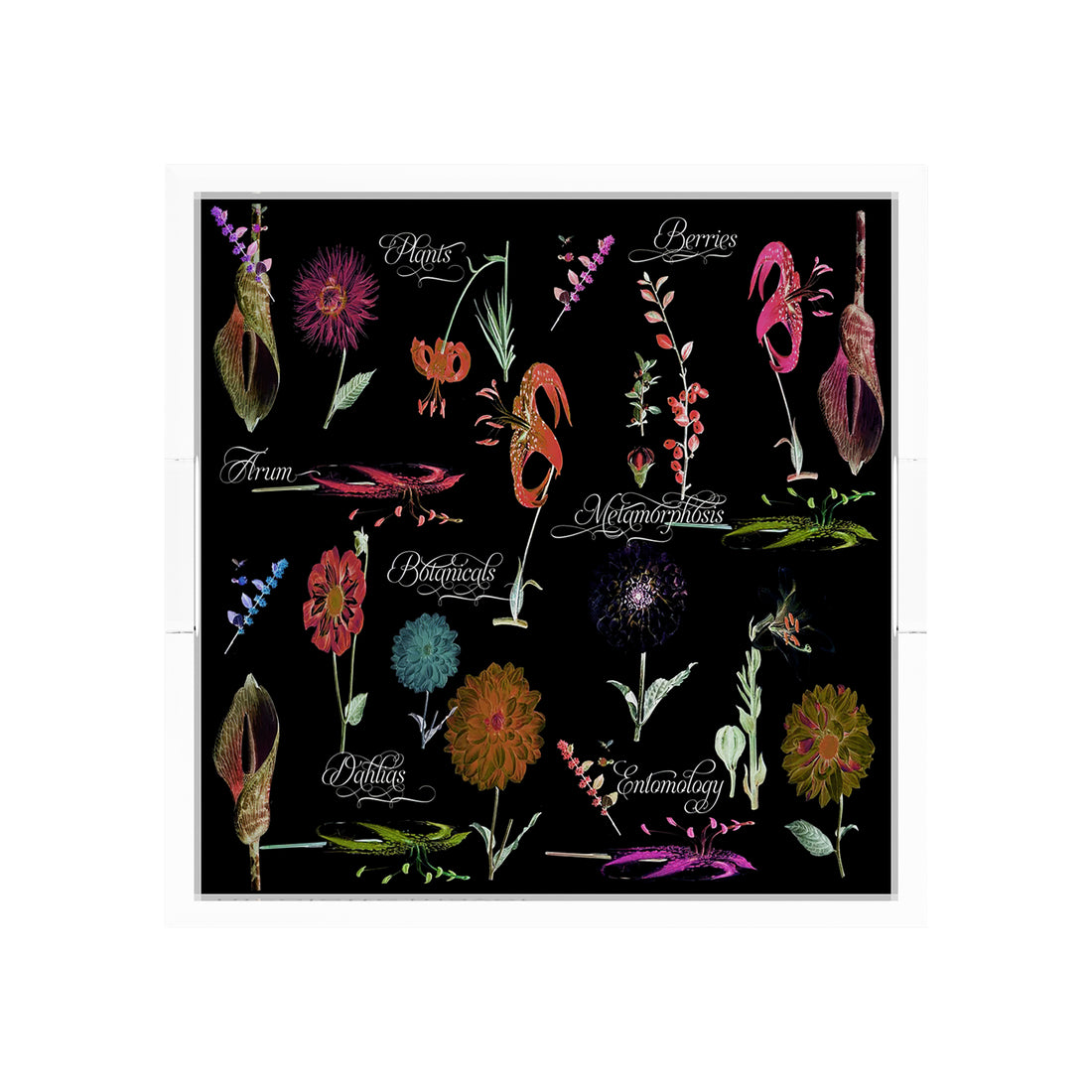 Botanicals Xray Reds 12X12 Acrylic Tray - nicolettemayer.com
