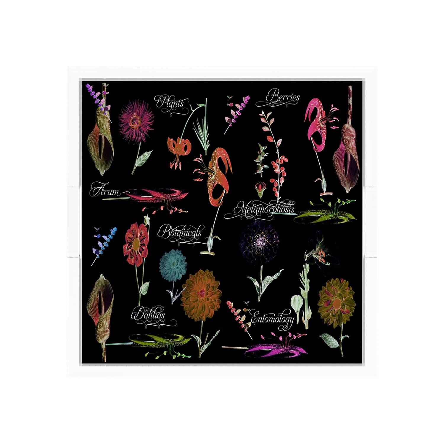 Botanicals Xray Reds 12X12 Acrylic Tray - nicolettemayer.com
