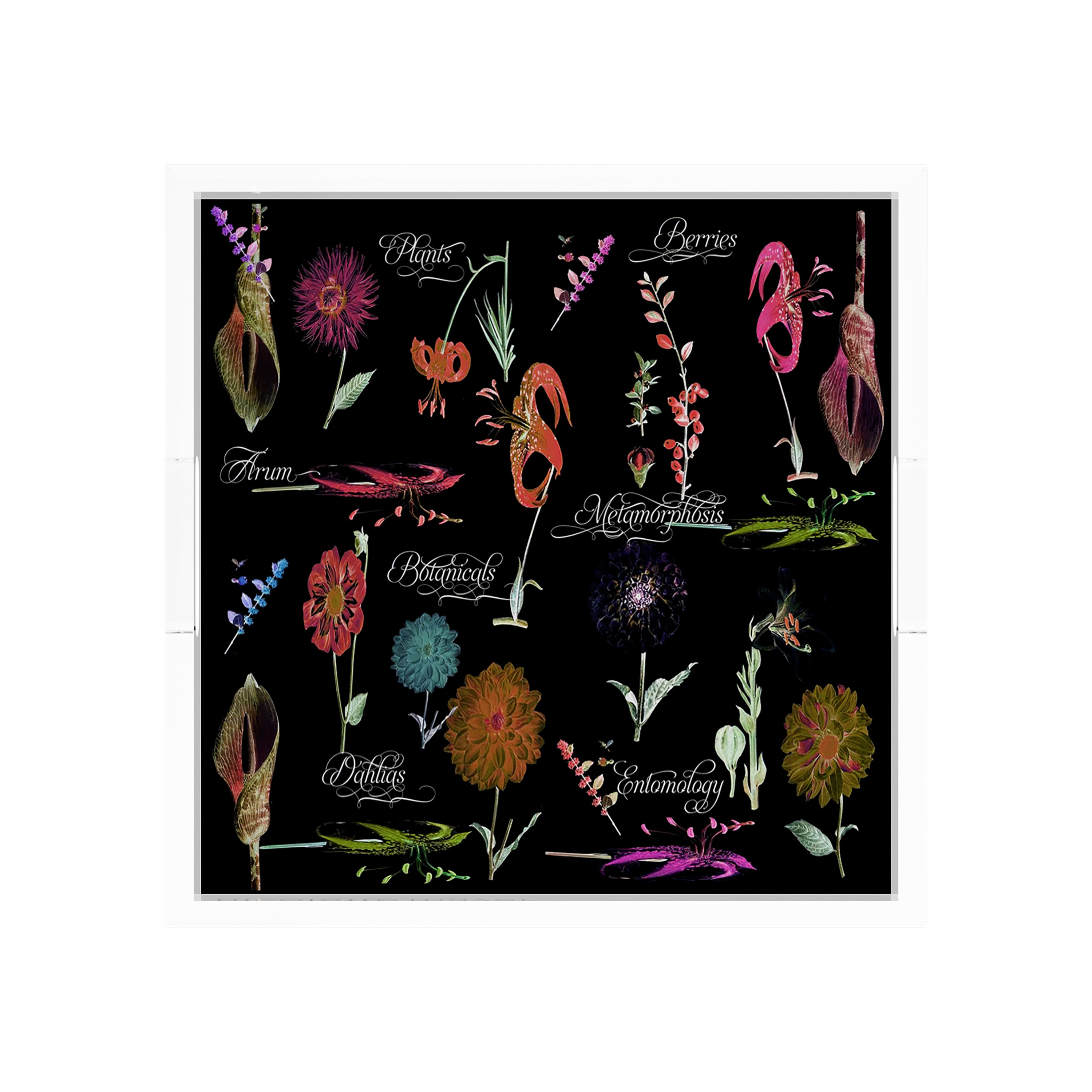 Botanicals Xray Reds 12X12 Acrylic Tray - nicolettemayer.com
