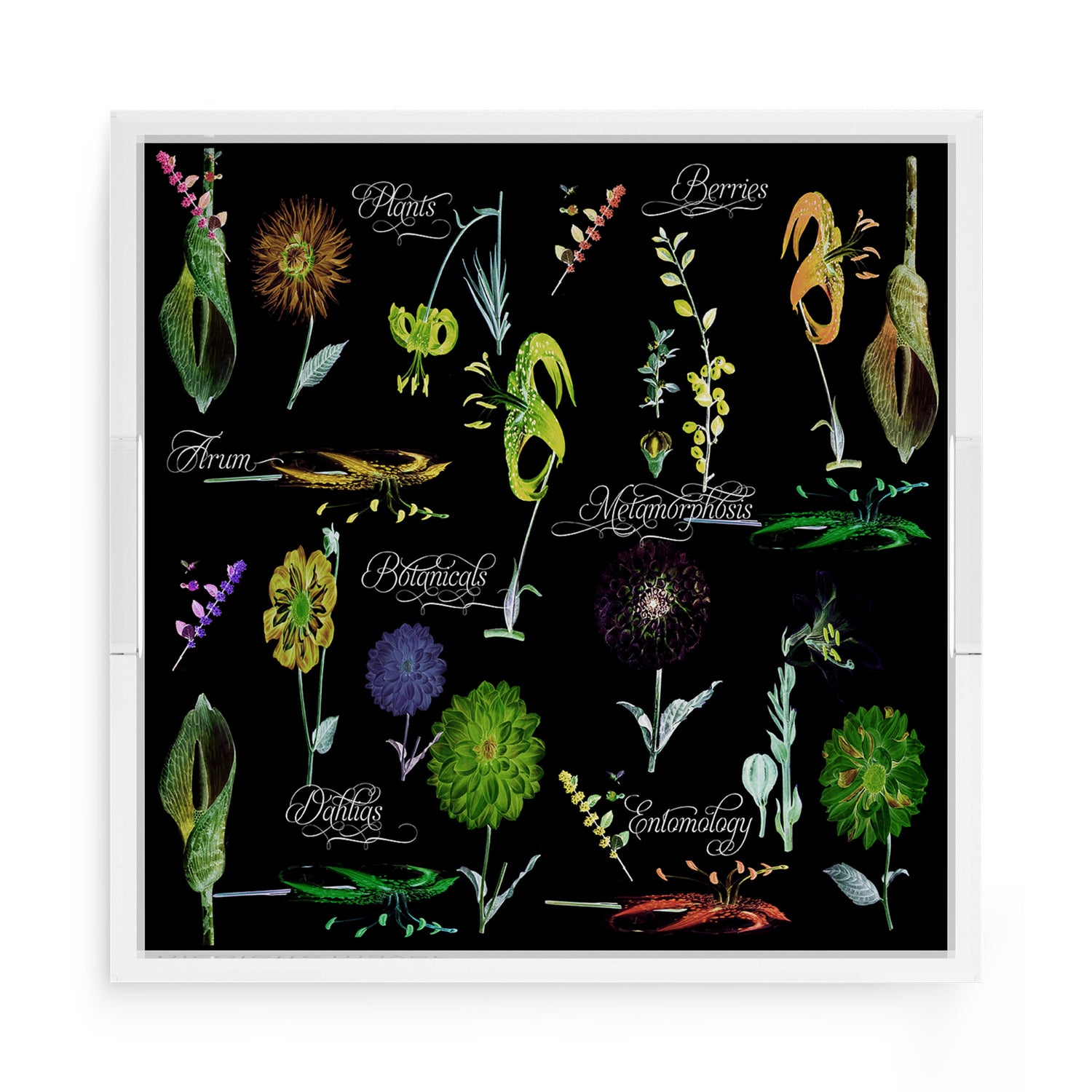 Botanicals Xray Greens 15X15 Acrylic Tray - nicolettemayer.com
