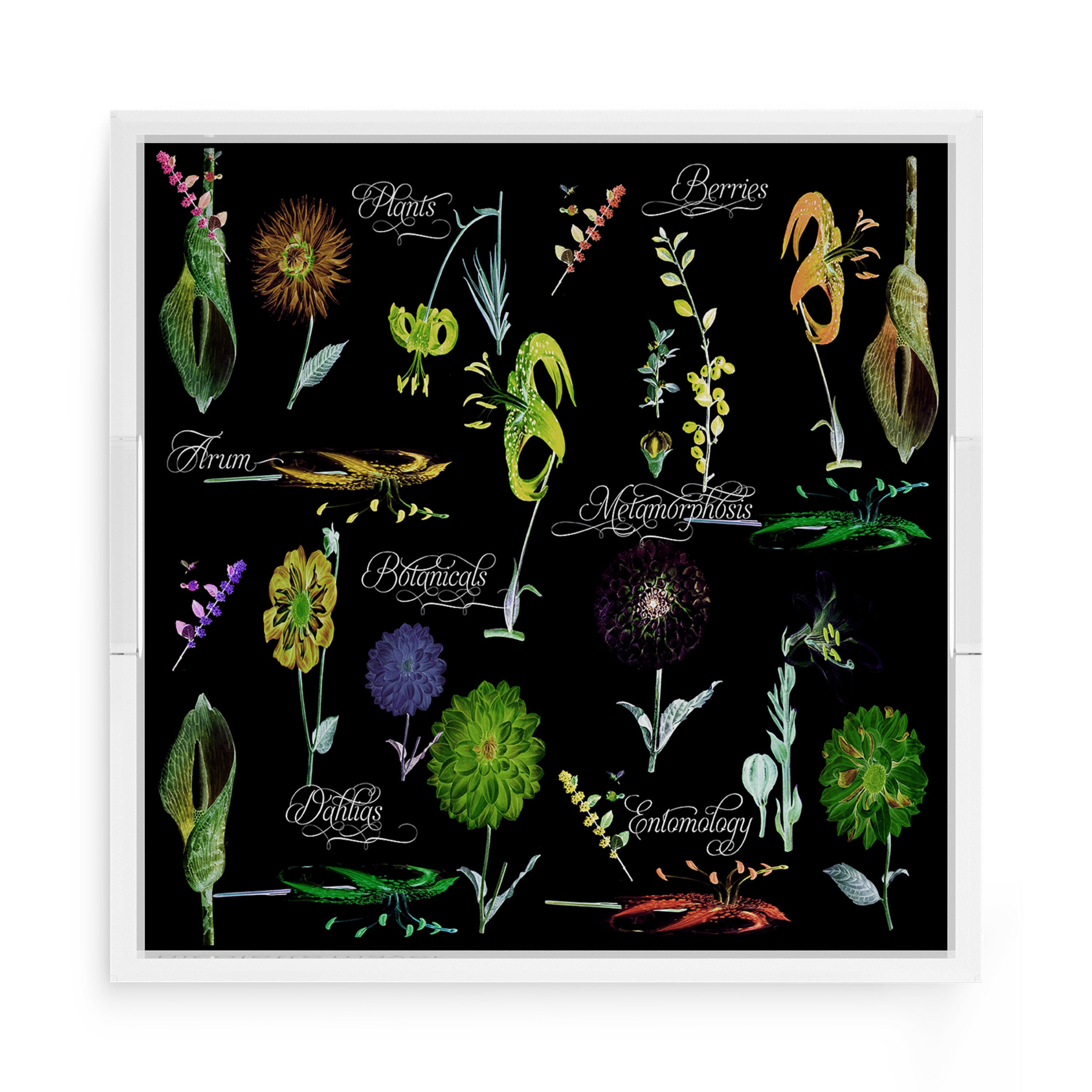 Botanicals Xray Greens 15X15 Acrylic Tray - nicolettemayer.com
