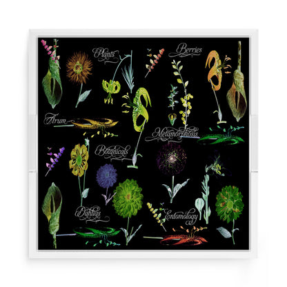 Botanicals Xray Greens 15X15 Acrylic Tray - nicolettemayer.com
