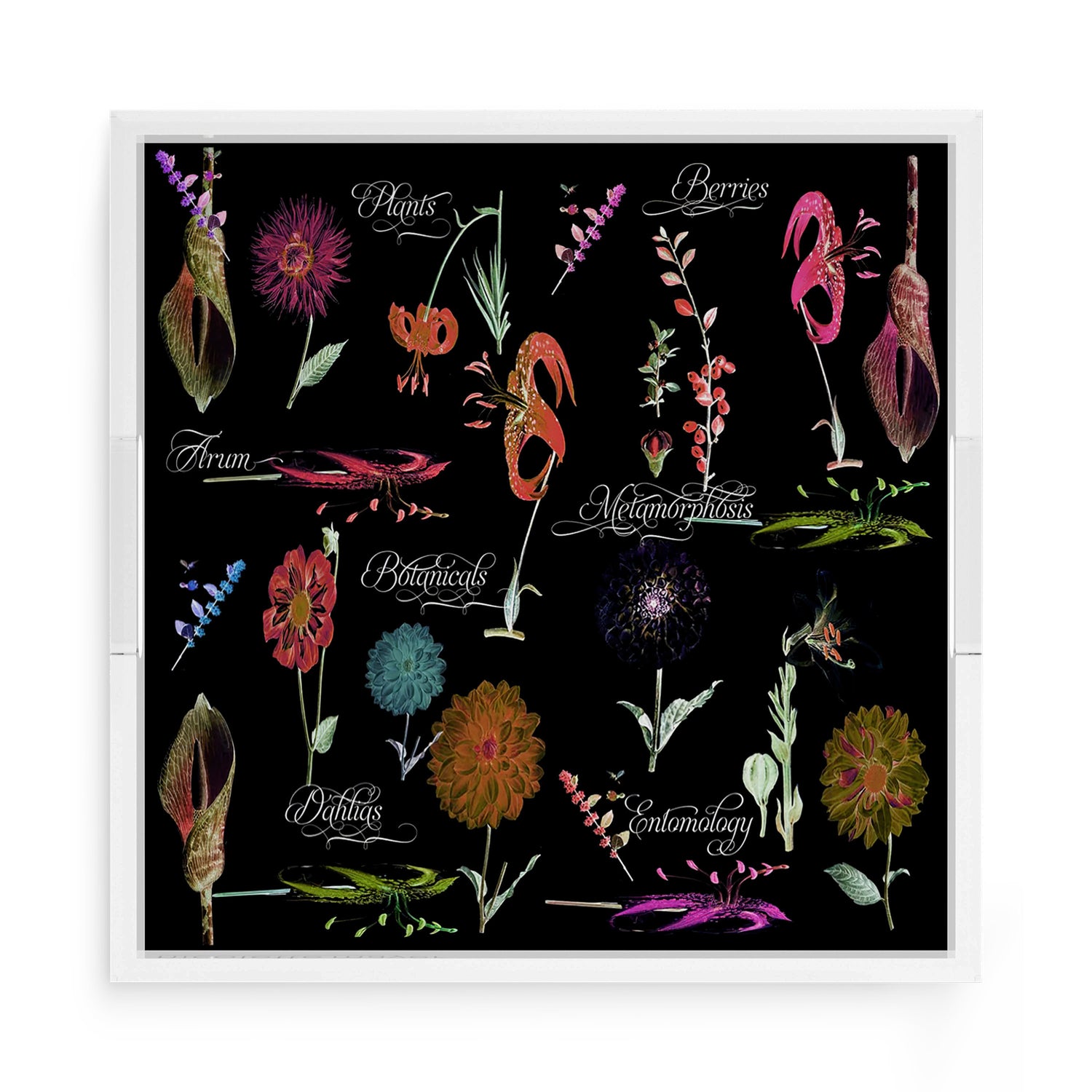 Botanicals Xray Reds 15X15 Acrylic Tray - nicolettemayer.com
