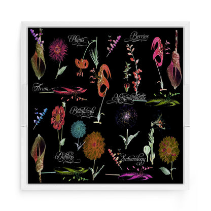Botanicals Xray Reds 15X15 Acrylic Tray - nicolettemayer.com
