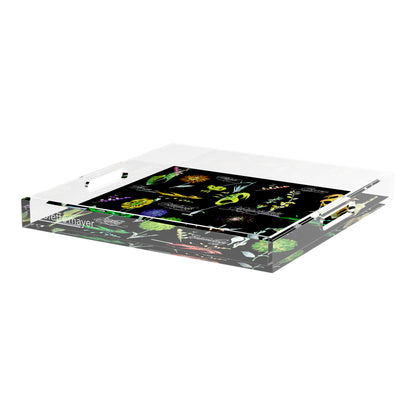 Botanicals Xray Greens 18X18 Acrylic Tray - nicolettemayer.com
